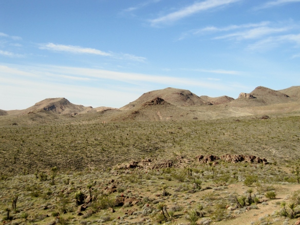 Mohave View with homestead